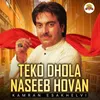 About Teko Dhola Naseeb Hovan Song