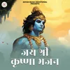 About Jay Shree Krishna Song