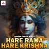 About Hare Rama Hare Krishna Song
