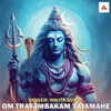 About Om Trayambakam Yajamahe Song
