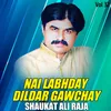 About Nai Labhday Dildar Gawchay, Vol. 32 Song