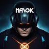 About Havoc Song