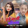 About Have Baagi Ballia Song