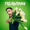 About Тюльпани Song