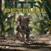 About Kitty Petbull Song