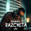 About RAZCVETA Song