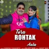 About Tora Rohtak Aala Song