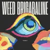 weed brigabaline