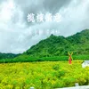 About 榄核情意 Song