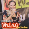 About Weleg One Pro live Song