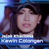 Kawin Colongan