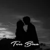 About Tere Bina Song