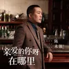 About 亲爱的你呀在哪里 Song