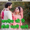 About Jagdish Ji Ri Boli Pyari Lage Song