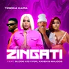 About Zingati Song