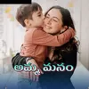 About Amma Manam Song