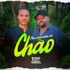 About Meu Pedacinho de Chão Song