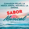 About Camaron Pelao / La Media Arepa / Micaela / La Chona Song