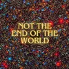 About Not The End of The World Song