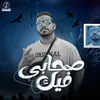 About صحابي فيك Song