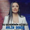 About Su Şehrinin Güzeli Song