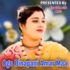 About Ogo Binapani Amar Maa Song