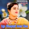 Ogo Binapani Amar Maa