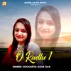 About O RADHE 1 Song