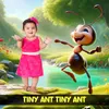 Tiny Ant Tiny Ant