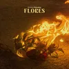 About Flores Song