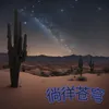 About 徜徉苍穹 Song