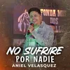 About No Sufriré Por Nadie Song