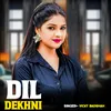 About Dil Dekhni Song