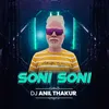 About Soni Soni Song