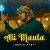 About Ali Maula Song