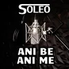 About Ani Be Ani Me Song