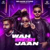 About Waah Meri Jaan Song