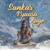 About Sankar Pyaara Lage Song