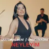 About Neyleyim / Unutmuş Beni / Unutamadım Song