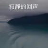 About 寂静的回响 Song