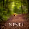 About 暂停时间 Song