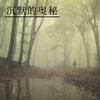 About 沉默之谜 Song