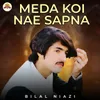 About Meda Koi Nae Sapna Song