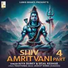 About Shiv Amritwani, Pt. 4 Song