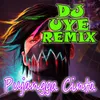 About DJ Remix Pujangga Cinta Song