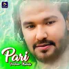 About Pari Jaishan Mukhda Song