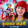 About Vrindavan Jaungi Song