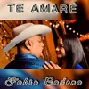 About Te Amaré Song