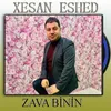 About Zava Binin Song