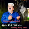 About Wala Koi DilRuba Labhdy Wady Hain Song